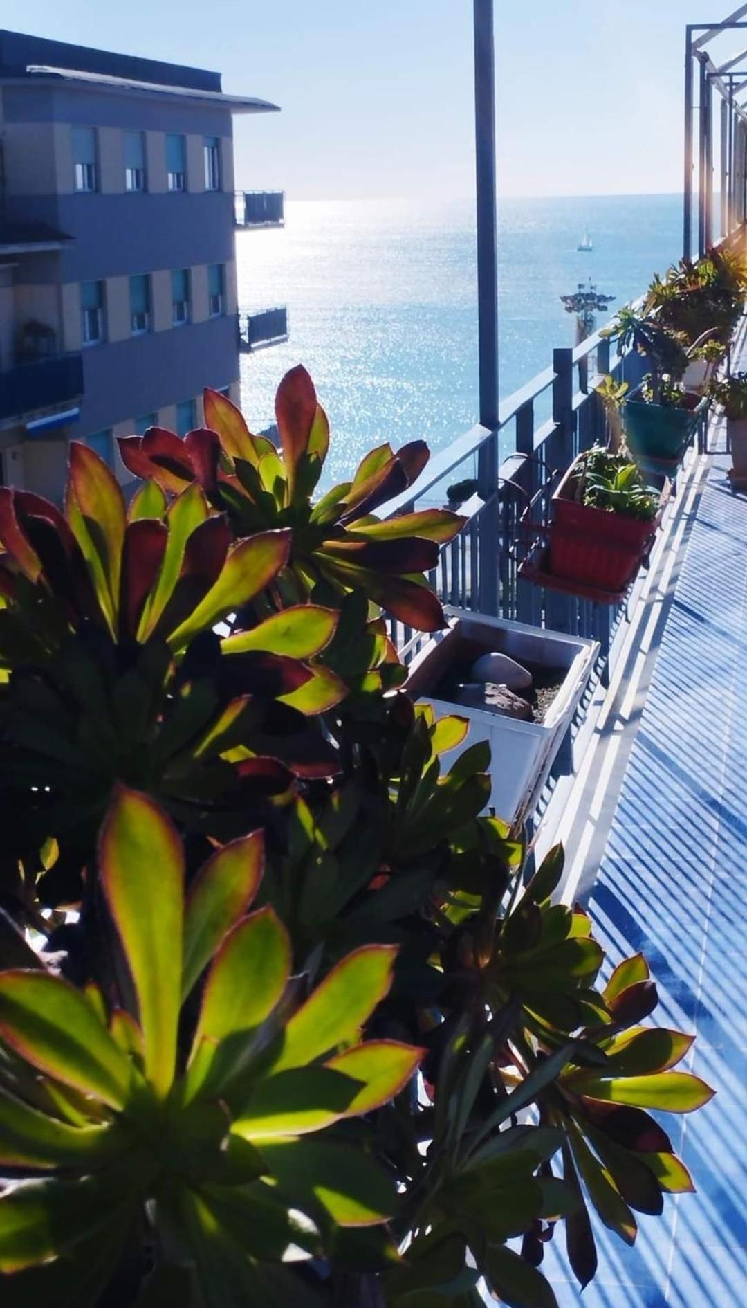 Alta Quota Relax On The Sea Bed and Breakfast Σαλέρνο Εξωτερικό φωτογραφία